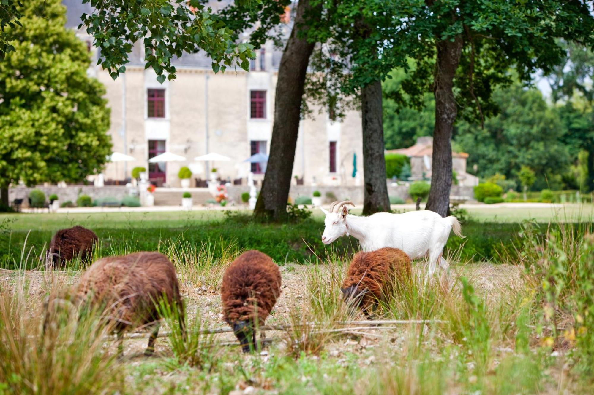 Chateau De La Verie ชาลองส์ ภายนอก รูปภาพ
