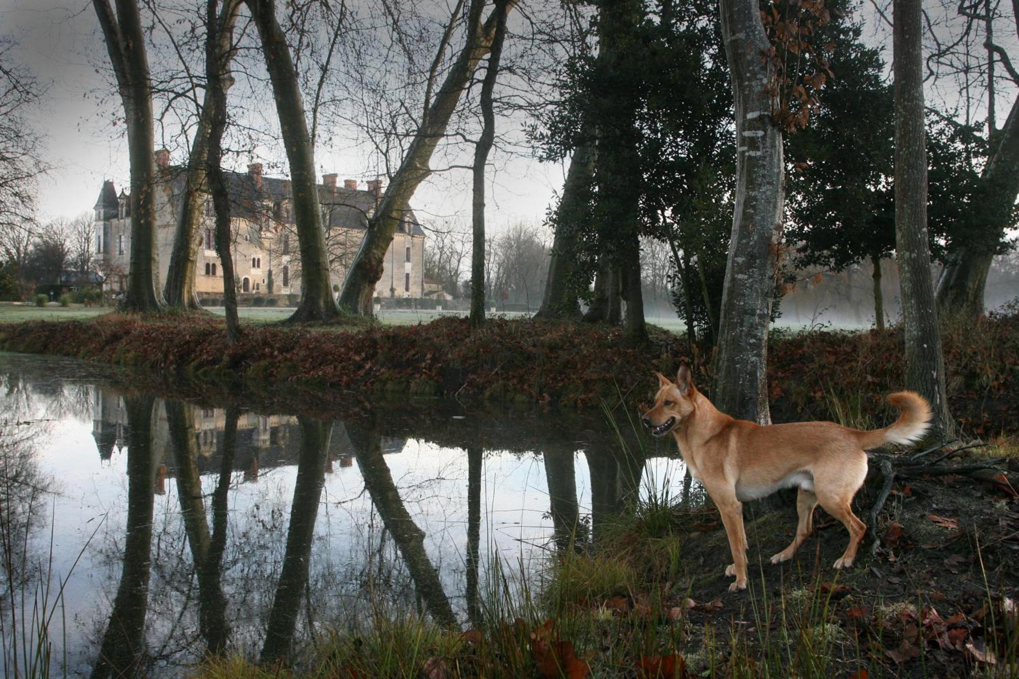 Chateau De La Verie ชาลองส์ ภายนอก รูปภาพ